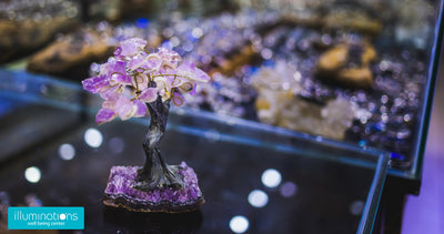 How to Use Healing Crystal Trees (Feng Shui Crystal Trees)?