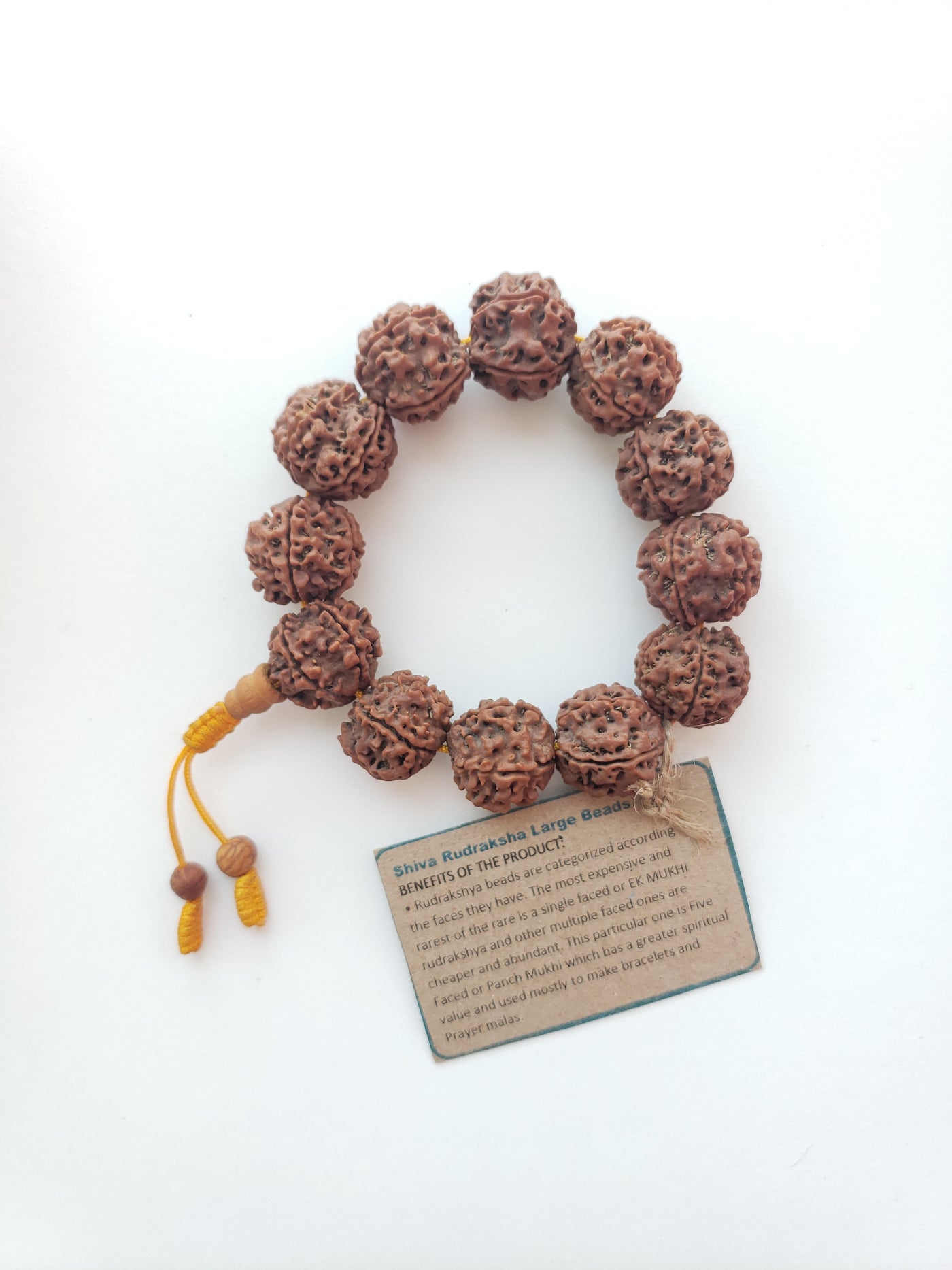 Shiva Rudraksha-Large beads